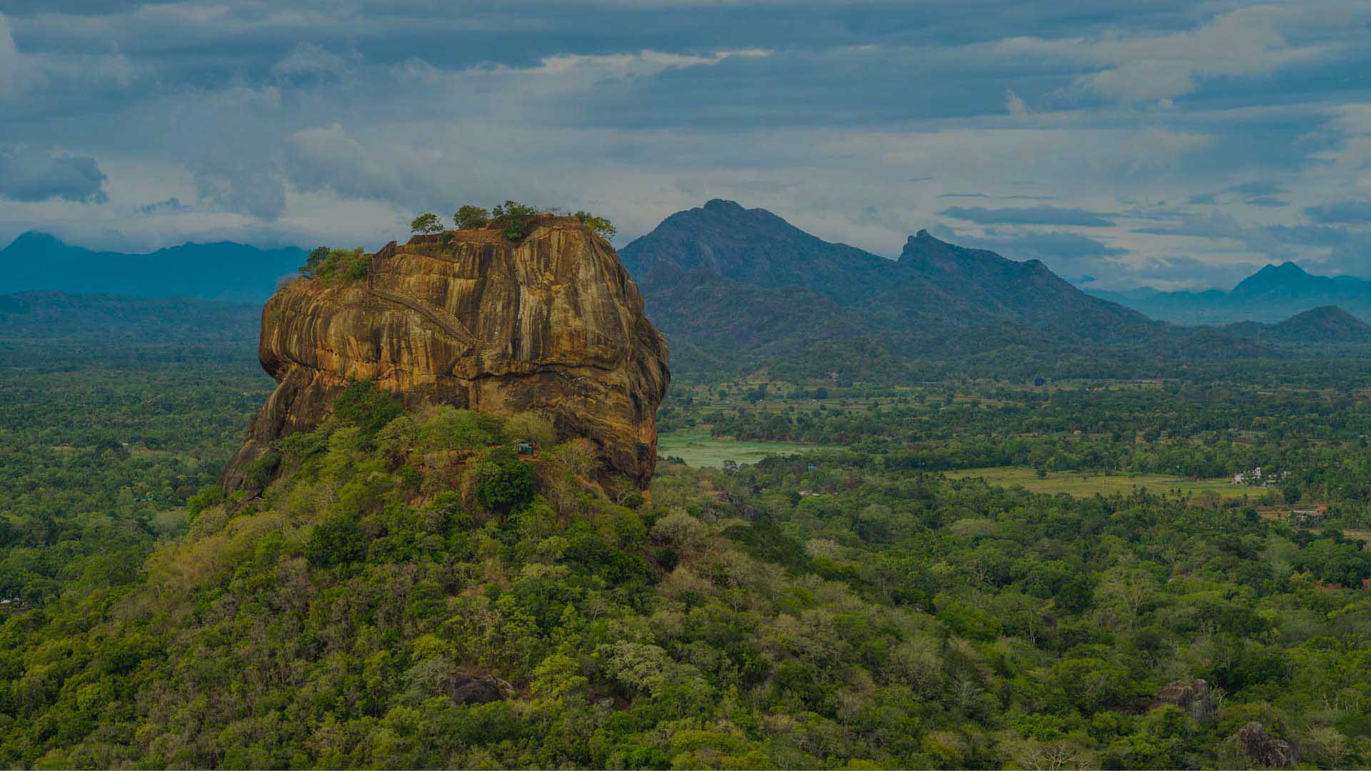 Elephants – Sigiriya Rock